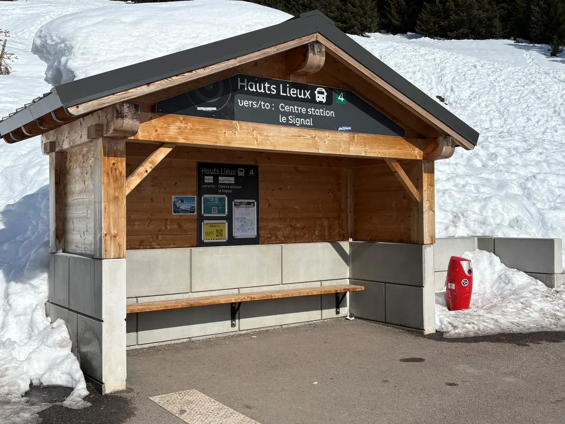 Abri en bois sur soubassement en Prémurette® en montagne